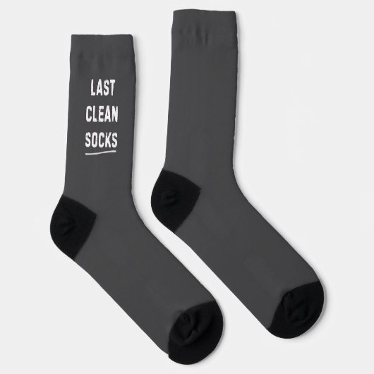 The Last Clean Gray Socks ソックス (右)