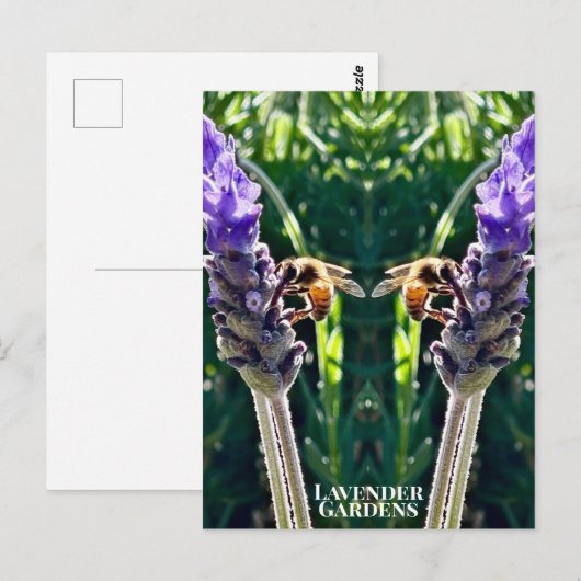 The Lavender & The Bee ポストカード (正面/裏面)