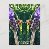 The Lavender & The Bee ポストカード (正面)
