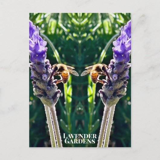 The Lavender & The Bee ポストカード (正面)