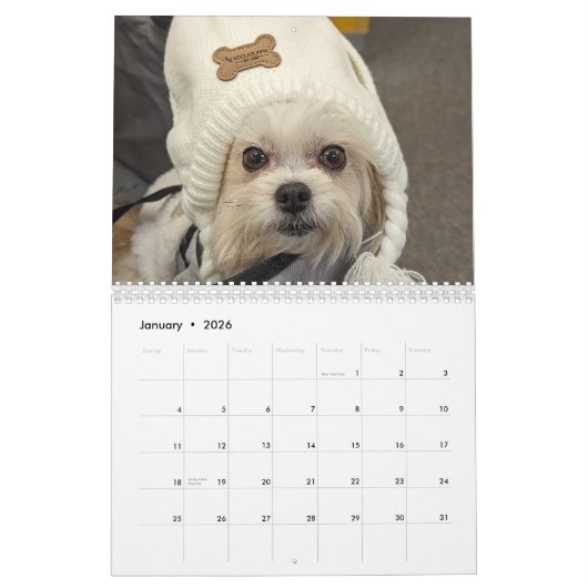 The Life of Gilbert Calendar 2026 カレンダー (1月 2026)