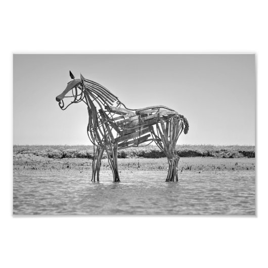 The Lifeboat Horse, Wells-next-the-Sea  フォトプリント (正面)