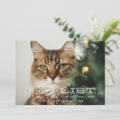 The List いけな Cat Christmasおもしろい Card シーズンカード (スタンド正面)