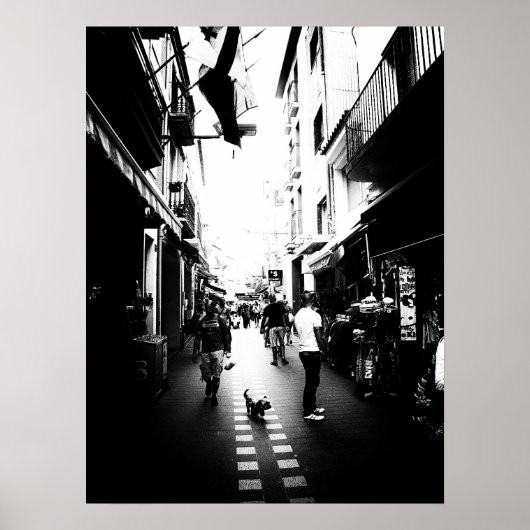 The little dog in the street ポスター (正面)