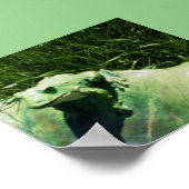 THE LITTLE FROG ポスター (角)