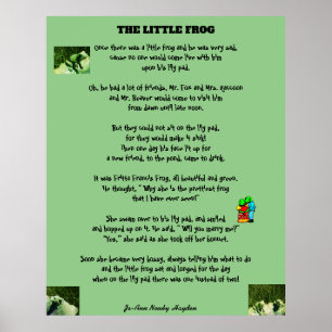 THE LITTLE FROG ポスター