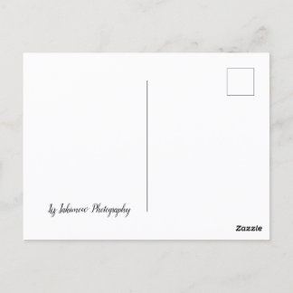 The Long Road Home – 高速道路の車 ポストカード