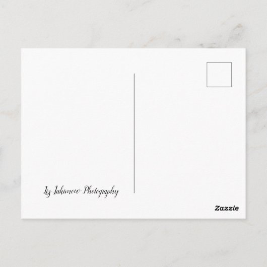 The Long Road Home – 高速道路の車 ポストカード (裏面)