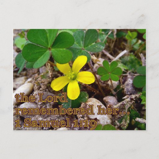 The Lord Remembered Her Bible Verse Postcard ポストカード (正面)