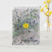 “The Lord Watches Over You” カード (黄色い花)