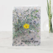 “The Lord Watches Over You”  カード (正面)