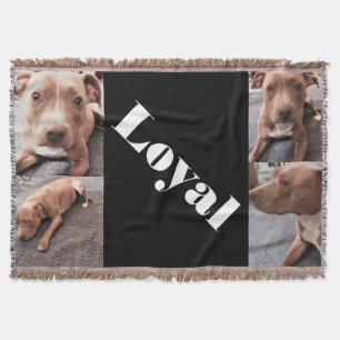 THE LOYAL PIT BULL throw スローブランケット