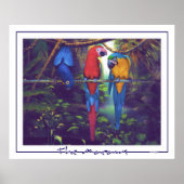 The Macaws - Poster ポスター (正面)