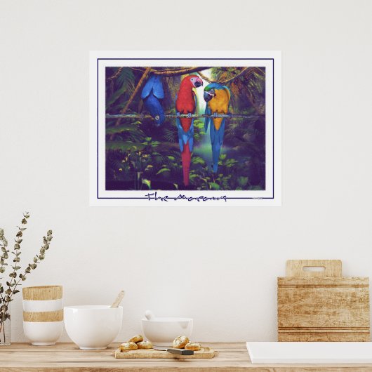 The Macaws - Poster ポスター (キッチン)