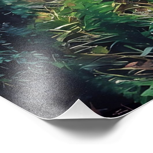 The Magic Passage フォトプリント (角)