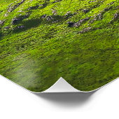 The Majestic Expanse of Ladies' View ポスター (コーナー)