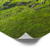 The Majestic Expanse of Ladies' View ポスター (角)