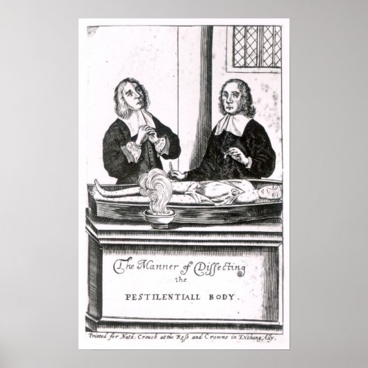 The Manner of Dissecting the Pestilential Body ポスター (正面)