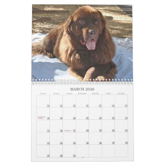 The Marshalls 2026 Calendar カレンダー (3月 2026)