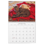 The Marshalls 2026 Calendar カレンダー (1月 2026)