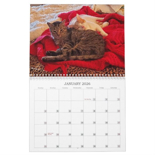 The Marshalls 2026 Calendar カレンダー (1月 2026)
