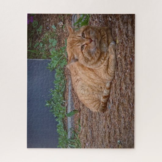 The Master of the Sunny Path ジグソーパズル (縦)