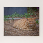 The Master of the Sunny Path ジグソーパズル (横)