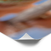 The Master of Tropical Colors ポスター (コーナー)