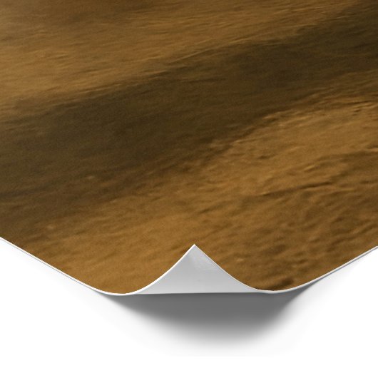 The Matador ポスター (角)