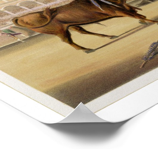 The Matador, 1865 (colour litho) ポスター (角)