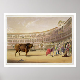 The Matador, 1865 (colour litho) ポスター