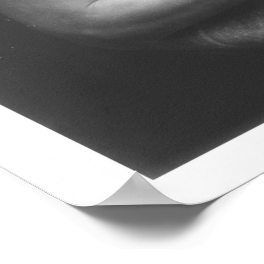 The Medicine Man, c.1915 ポスター (角)