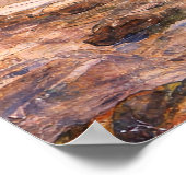 The Merman by John William Waterhouse ポスター (角)