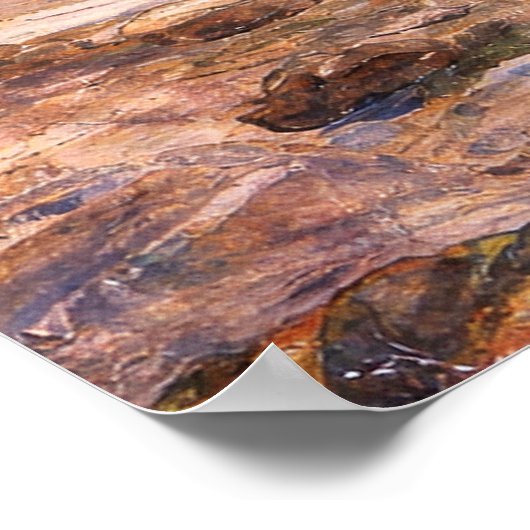 The Merman by John William Waterhouse ポスター (角)