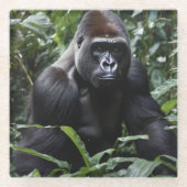 The Midnight Gorilla King:森の(昆虫)オオカバマダラ、モナーク ガラスコースター (正面)
