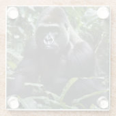 The Midnight Gorilla King:森の(昆虫)オオカバマダラ、モナーク ガラスコースター (裏面)