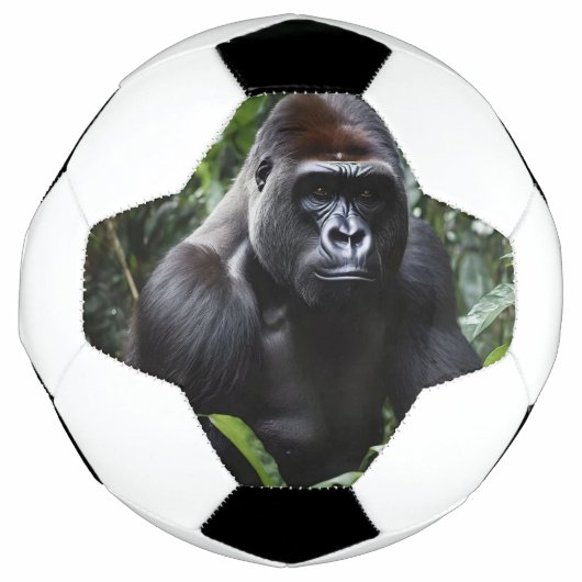 The Midnight Gorilla King:森の(昆虫)オオカバマダラ、モナーク サッカーボール (正面)