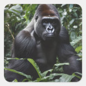 The Midnight Gorilla King:森の(昆虫)オオカバマダラ、モナーク スクエアシール (正面)