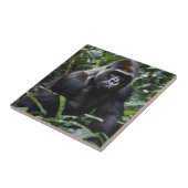 The Midnight Gorilla King：森の（昆虫）オオカバマダラ、モナーク タイル (側面)