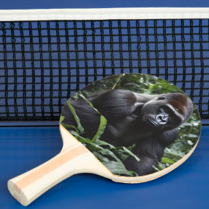 The Midnight Gorilla King:森の(昆虫)オオカバマダラ、モナーク 卓球ラケット