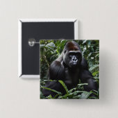 The Midnight Gorilla King：森の（昆虫）オオカバマダラ、モナーク 缶バッジ (正面&裏面)