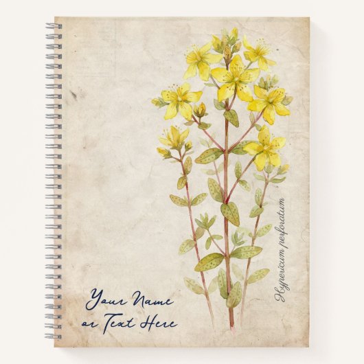The Midsummer Secret: Hypericum Perforatum ノートブック (正面)