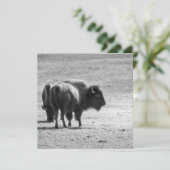 The Mighty Buffalo  サンキューカード (スタンド正面)