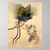 “The Most Beautiful Bird” by Warwick Goble ポスター (正面)