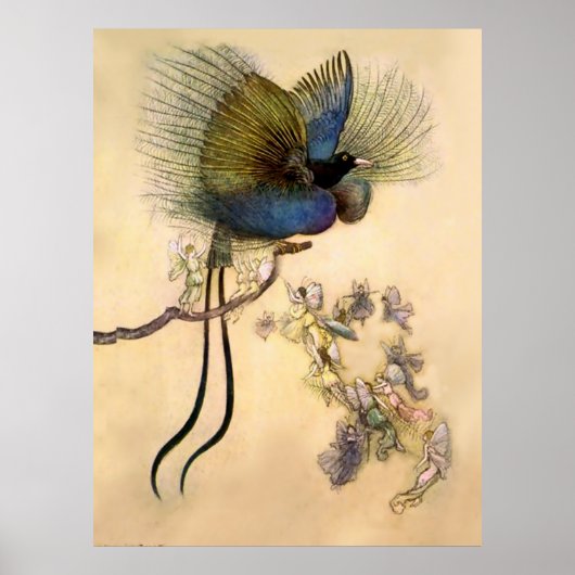“The Most Beautiful Bird” by Warwick Goble ポスター (正面)