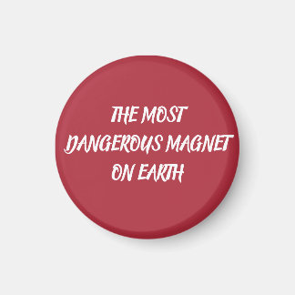 THE MOST DANGEROUS MAGNET ON EARTH マグネット