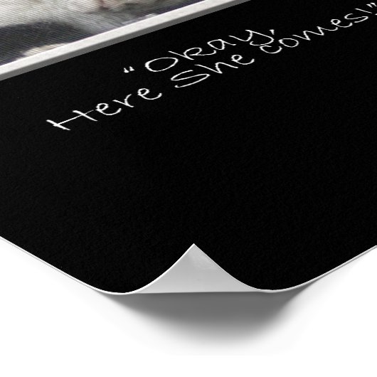 「THE NEGOTIATOR」おもしろい Cat写真シーケンス ポスター (角)