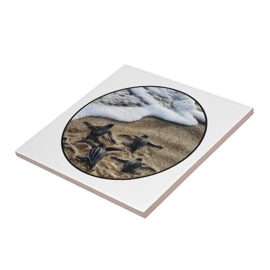 The newborn instinct タイル (側面)