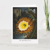The Night Blowing Cereus — Modern Botanical Reinte カード (正面)