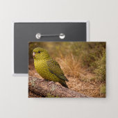 The Night Parakeet Badge Large 缶バッジ (正面/裏面)